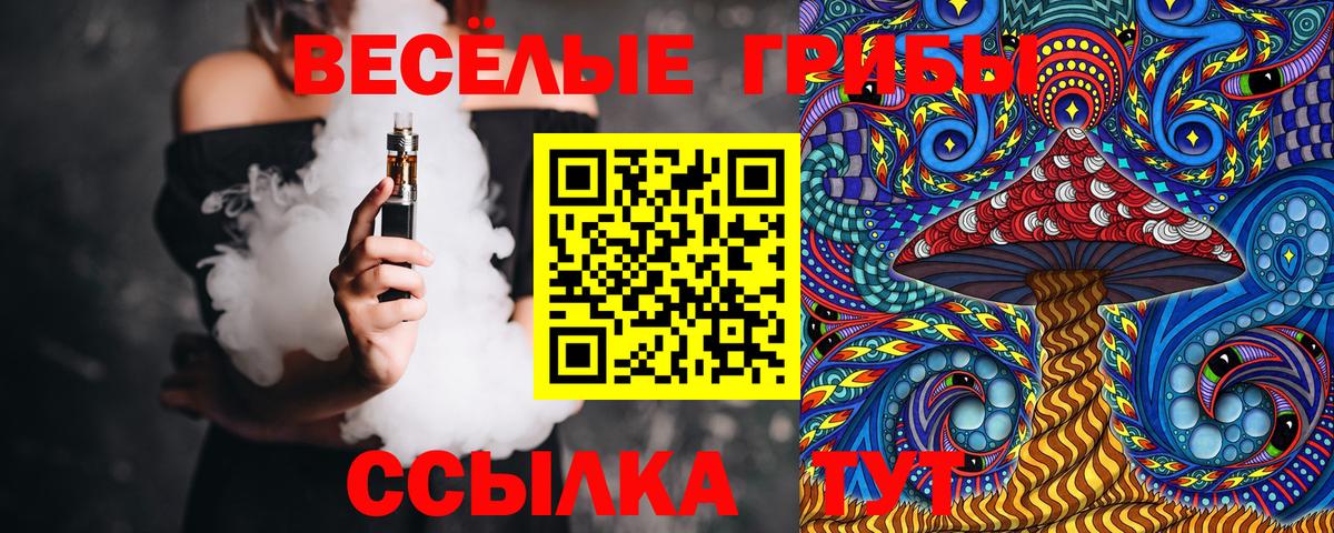 Малгобек  Галлюциногенные грибы Magic Shrooms  Псилоцибиновые грибы Psilocybe  Вход с VPN 